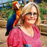 House Sitter - Mature responsible retired nurse