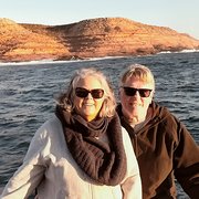 House Sitter - Love walks and pats :)