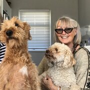 House Sitter - Imagine