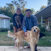 House Sitter - Pet-loving couple offering expert pet/ho