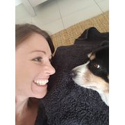 House Sitter - Excellent care for your pets & home