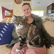 House Sitter - Mindful and kind 