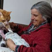 House Sitter - Professional married couple - retired