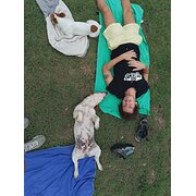 House Sitter - Devendra