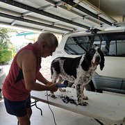 House Sitter - Lyn&Haui