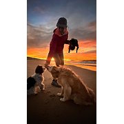 House Sitter - Anne - mature, single, animal lover