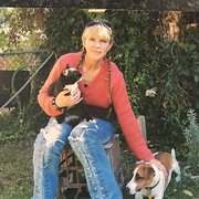 House Sitter - House Sitter & Pets including horses