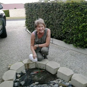 House Sitter - animal lover