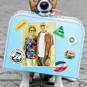 House Sitter - Hans and Dawn