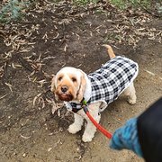 House Sitter - Lisa & Gail - Mother & Daughter