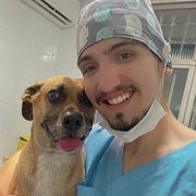 House Sitter - Reliable and Loving Care for Your Pets