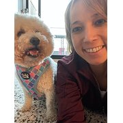 House Sitter - Reliable, Responsible and Caring Sitter