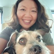 House Sitter - Your Organised Home Companion