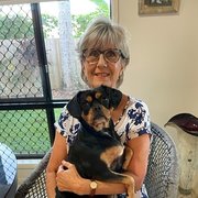 House Sitter - Retired dog love - Cairns FNQ