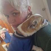 House Sitter - Female Vanlifer