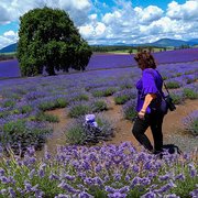 House Sitter - We are a travelling duo