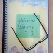 House Sitter - Mr Wayne.  ⭐⭐⭐⭐⭐