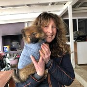 House Sitter - Mary Minder