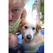 House Sitter - A passionate pal 4 your precious pets