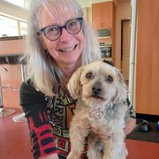 House Sitter - Your Pet's Friend