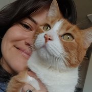 House Sitter - Hi! Cali and Nacho working from home