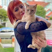 House Sitter - Experienced Housesitters