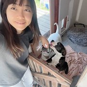 House Sitter - Love and happy mind !