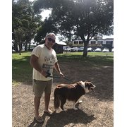 House Sitter - Max, Experienced Pet, House & Property