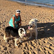 House Sitter - Peace, security for home, pets & garden