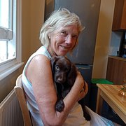 House Sitter - The careful sitters