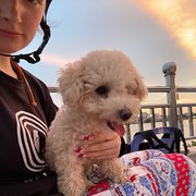 House Sitter - Hannah