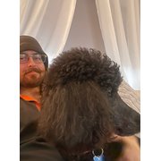 House Sitter - Sebastian