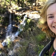 House Sitter - Can I help?