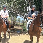 House Sitter - Welshie & Aussie Girls