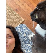 House Sitter - Pet Reiki Healer