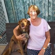 House Sitter - A true animal lover .