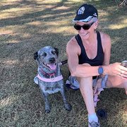 House Sitter - Caring Couple House Sitters