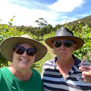 House Sitter - Westie’s Bestie’s