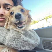 House Sitter - Alana 