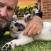 House Sitter - Work from home, considerate and quiet.