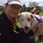 House Sitter - Work from home professional