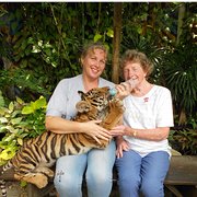 House Sitter - Favourite of all animals. 