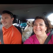 House Sitter - Easy going, animal loving couple