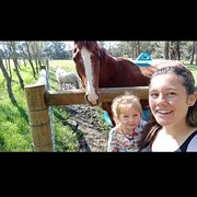 House Sitter - Pip + Skyllar.