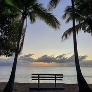 House Sitter - A Mature Single Caring House Sitter