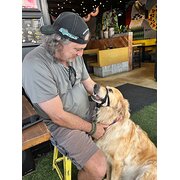 House Sitter - Tad Carvey