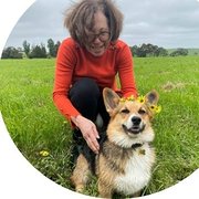 House Sitter - Treat your home as if it was mine