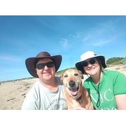 House Sitter - John & Wendy