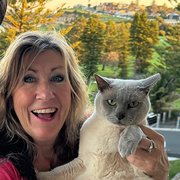 House Sitter - Responsible pet lover