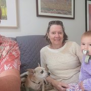 House Sitter - Dependable duo